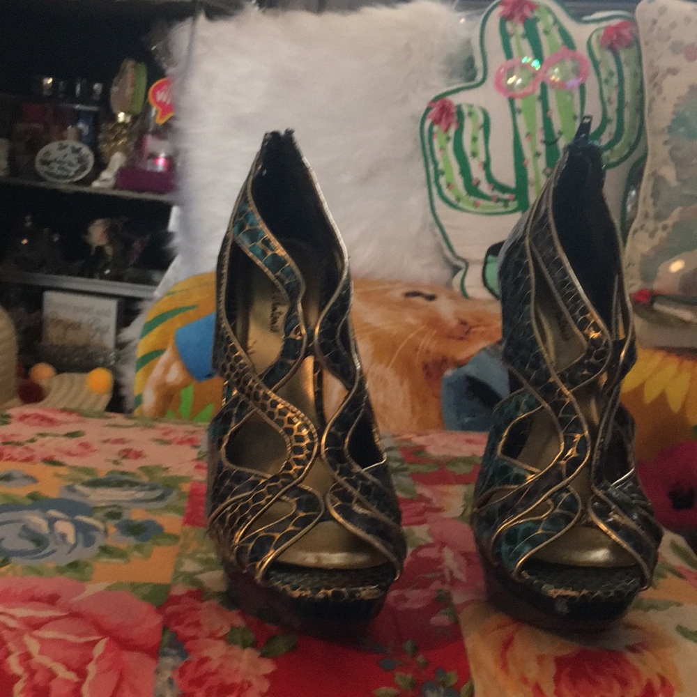 Shoe